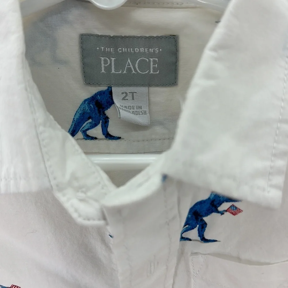 The Childrens Place boys 2t